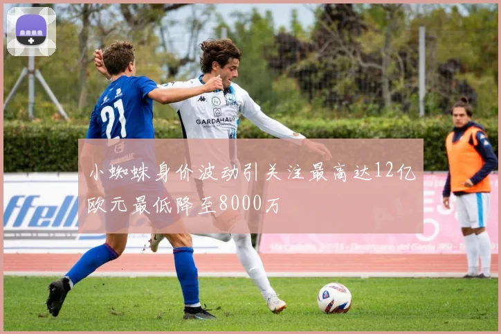 小蜘蛛身价波动引关注最高达12亿欧元最低降至8000万